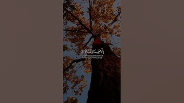 #عبدالرحمن_مسعد #القرآن_الكريم #آيات #تلاوات #قرآن #تلاوة_خاشعة #قران_كريم #القرآن #تلاوة #قرآن_كريم