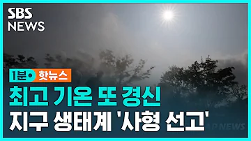 지구 생태계 사형 선고 지구 온도 사상 최고치 경신 SBS 1분핫뉴스