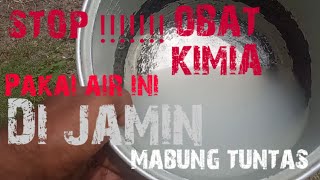 Perawatan murai batu gagal mabung