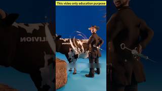 Cow vaccination technique 🐄 #FarmingFacts#DesiFacts#RuralIndia#SmartFarming#FarmerLife#AmazingFacts