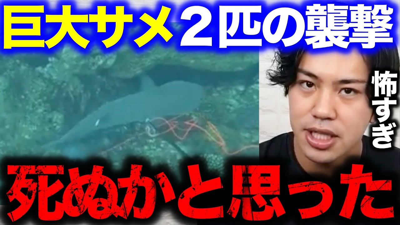 ⁣2匹の巨大サメに襲われて大焦りするマサル【素潜り漁師マサル/切り抜き/サバイバル/シャークアタック/Masaru/寄生虫/コラボ/ワニ/無人島イソマグロ/シガテラ/青い/魚突き/ナマコ/釣り】