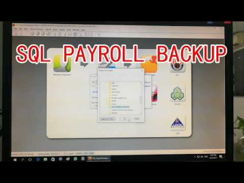 LEARN SQL PAYROLL BACKUP IN 2 MINUTES