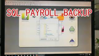 LEARN SQL PAYROLL BACKUP IN 2 MINUTES