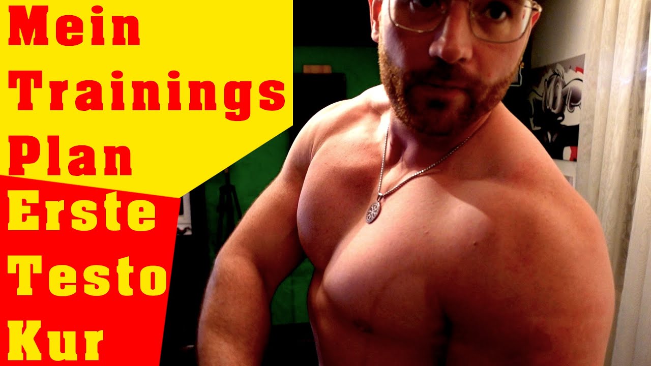Mein Trainingsplan | Erste Testo Kur - Update - YouTube