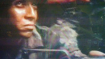 Firebird Conspiracy, 1984. 5/5