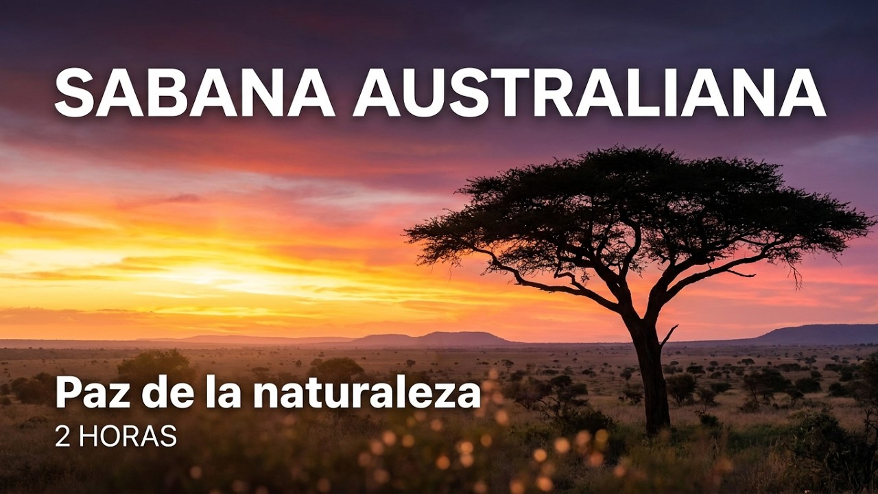 2 Horas de sonido ambiente de sabana australiana. paz interior jacques philippe