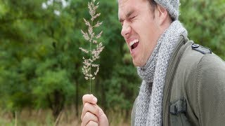What is an Allergy (Conditions A-Z)