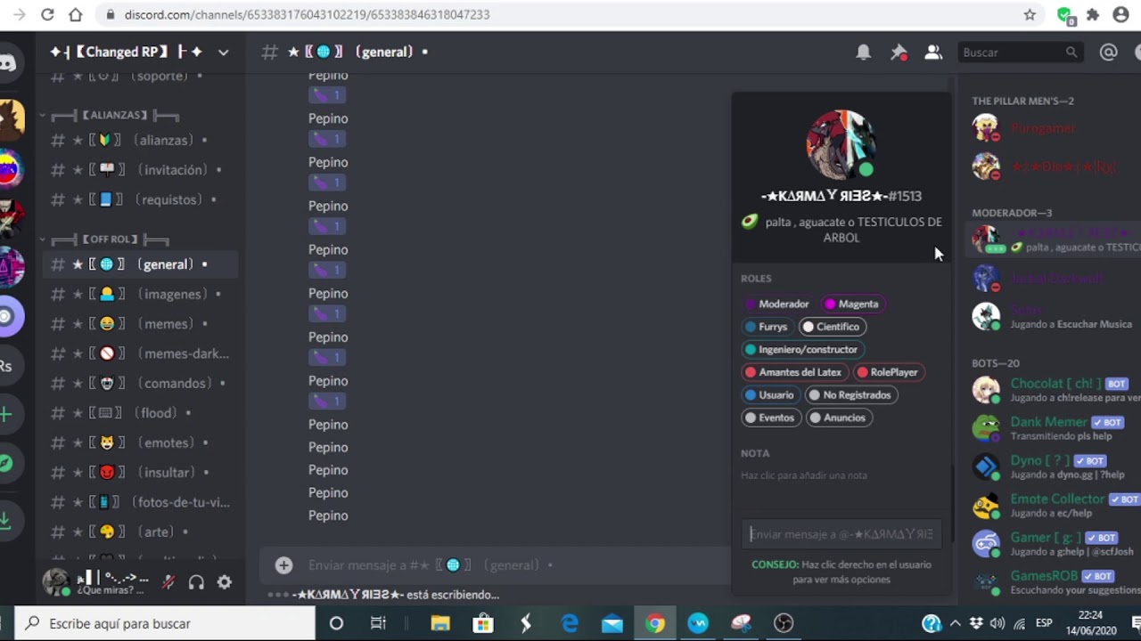 RAIDING DISCORDS SERVERS AND SELF BOT - YouTube