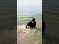 catching a 350 kg monster fish in the padma river 🐋//#fishing #fish #fishingtrip #fishingdaily