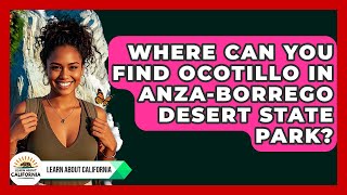 Where Can You Find Ocotillo In Anza-Borrego Desert State Park? - Learn About California
