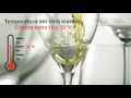 Tips temperatura vino blanco