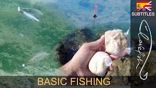 How to catch mullets with bread and cheese  great underwater videos