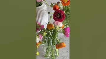 trader joes spring floral refresh 🌼🌸🌺