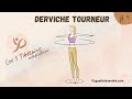 Derviche tourneur  5 tibtains adapts en kinsithrapie avec yogapilatesandra  rite 1