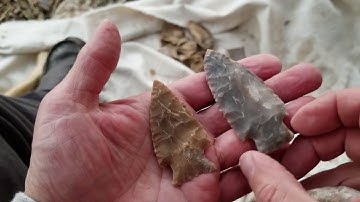 704 - Abo Flintknapping Raw Chert Wilson Point