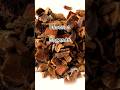 CÁSCARA SAGRADA #plantasmedicinales #remediosnaturales #remedios #fitoterapia #shorts