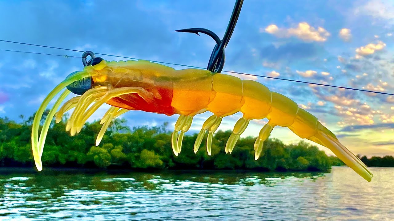 The Perfect Prawn - Catching Mangrove Jacks In Heavy Structure! 