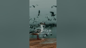 سورة النمل / قل الحمد لله #القرآن_الكريم #اكسبلور #السعودية