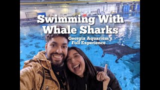 Swimming With Whale Sharks! Georgia Aquarium's Most Thrilling Experience