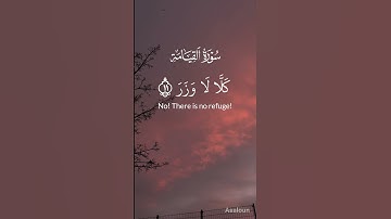 اجمل صوت 🥺🤍 راحة 💫 استماع 🌹 القارئ محمد ديبيروف 💗✨ . تلاوة هادئة و مريحة لقلبك 🥺🤍✨.