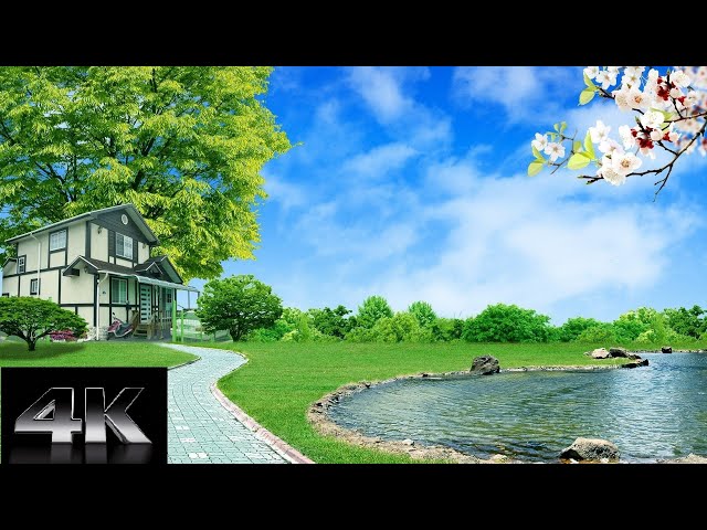 Moviy shifon yubkalar Porno eshak ichida hamster