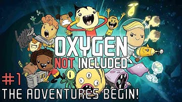 Oxygen Not Included Let