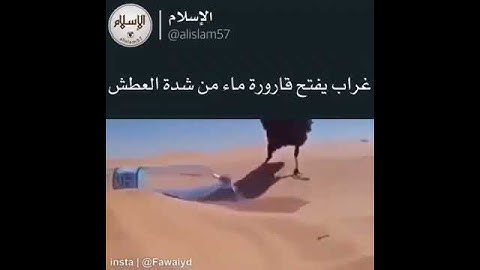 حالات واتس قران كريم/حالة واتس قران كريم/مقاطع قصيره قران/استوري واتس قران/مقاطع30ثانيه/القران