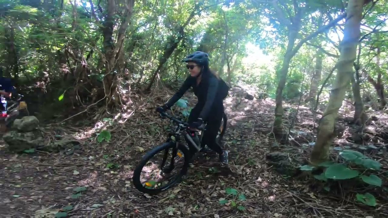 Okinawa Farms, Tombs, and Dragonfruit
