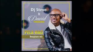 Pela Hao (Amapiano mix) - Dj Steve ft David Theking