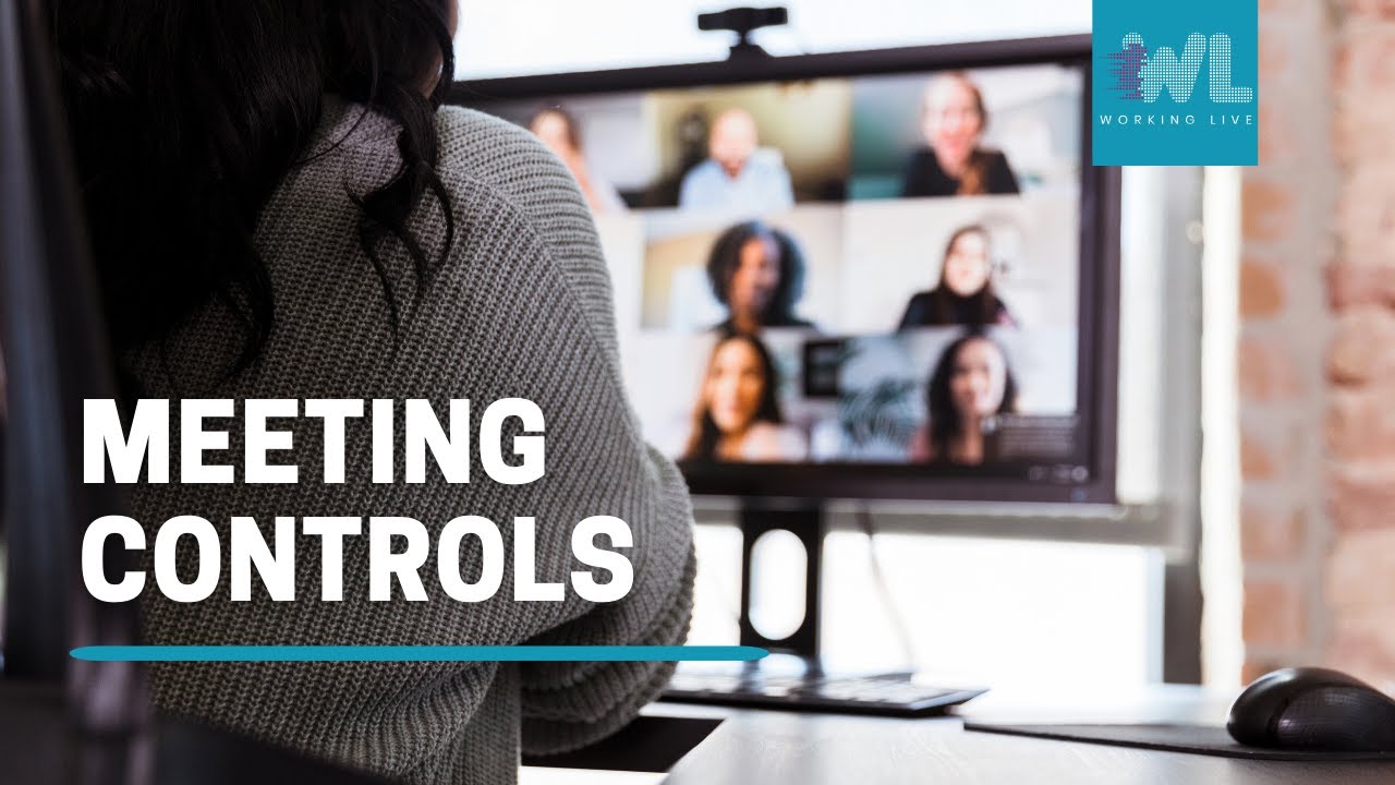 Meeting Controls