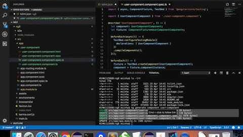 How to install Angular