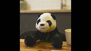 Meet Oreo Rufflecheddar, Celebrity Panda