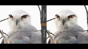 Post Processing || What You ( Capture & Can Transform)