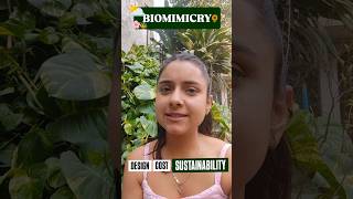 What is BIOMIMICRY #iim #mba #quicklesson #biomimicry #sustainability