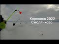 Корюшка в Смолячково 2022