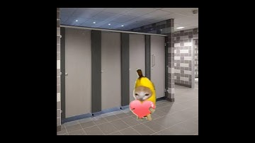 Hide & Seek 😺🖤 #catmemes #cat #shorts #fyp #bananacat