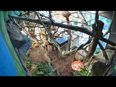 Riga Zoo Sloth Exhibit