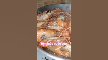 Tôm luộc nước dừa, lâu lâu mới ăn ngon 1 bữa nha #monngonmientay #tomluocnuocdua #tômcàngxanh