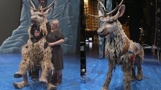 The magic behind 'Sven' the reindeer; Frozen playing now at Kentucky Center