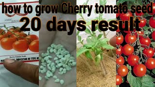 Farm seeds cherry tomato
seedhttp://dl.flipkart.com/dl/farm-seeds-cherry-tomato-seed/p/itmehf33exphuxfh?pid=paeehf33hnqctkmy&cmpid=product.share.ppguide
to g...
