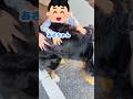 小さな男の子と大きなバーニーズの平和な時間🐾