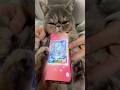 ほこりポケポケ開封 #猫 #ポケポケ #ポケポケ開封チャレンジ