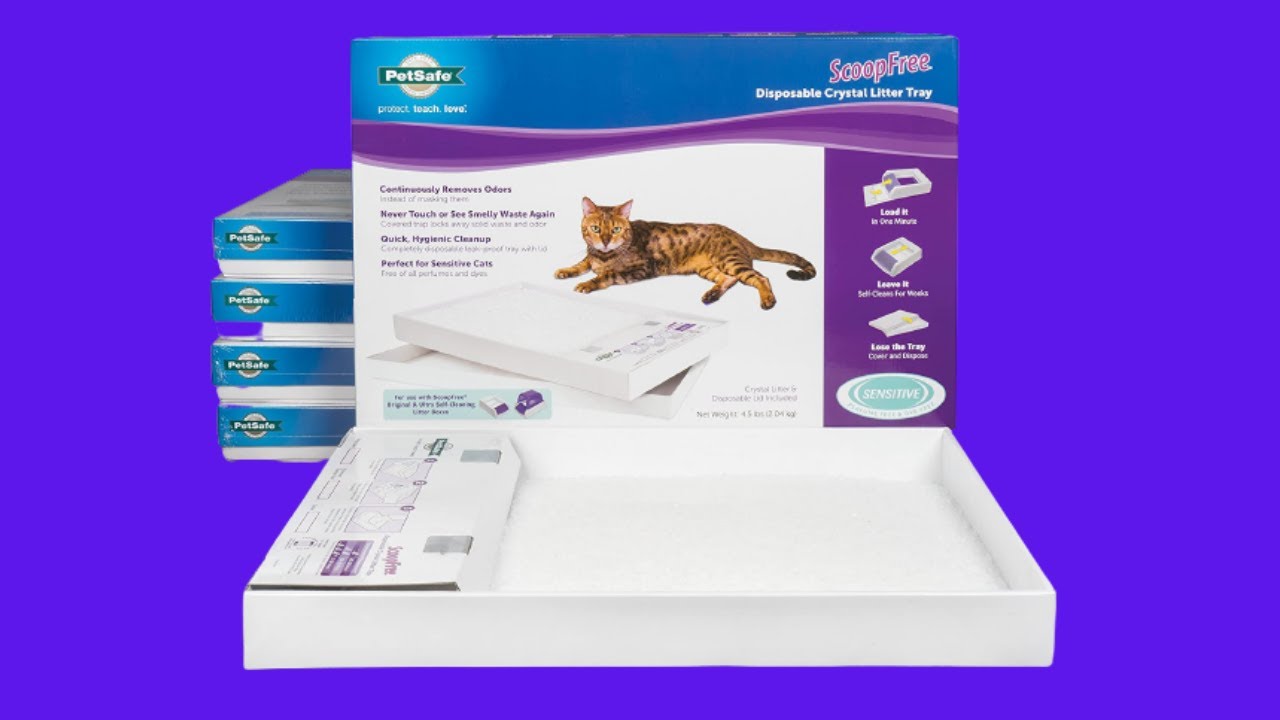 Before You Buy PetSafe ScoopFree Cat Litter Crystal Tray Refills for