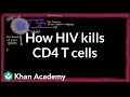 How HIV kills so many CD4 T cells | Infectious diseases | NCLEX-RN | Khan Academy