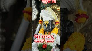 काय तुझी माया सांगू श्रीरंगा #marathi #jayhariviththal #पांडुरंग#marathiabhang