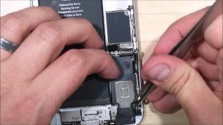 iPhone 6S Plus Charge Port Assembly Replacement - Disassembly