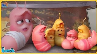 larva episode full| larva cartoon | larva full movie 2#larvacartoon