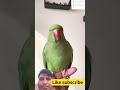#parrot #talkingparot #birds #cute #sort #ytsort #viral #video