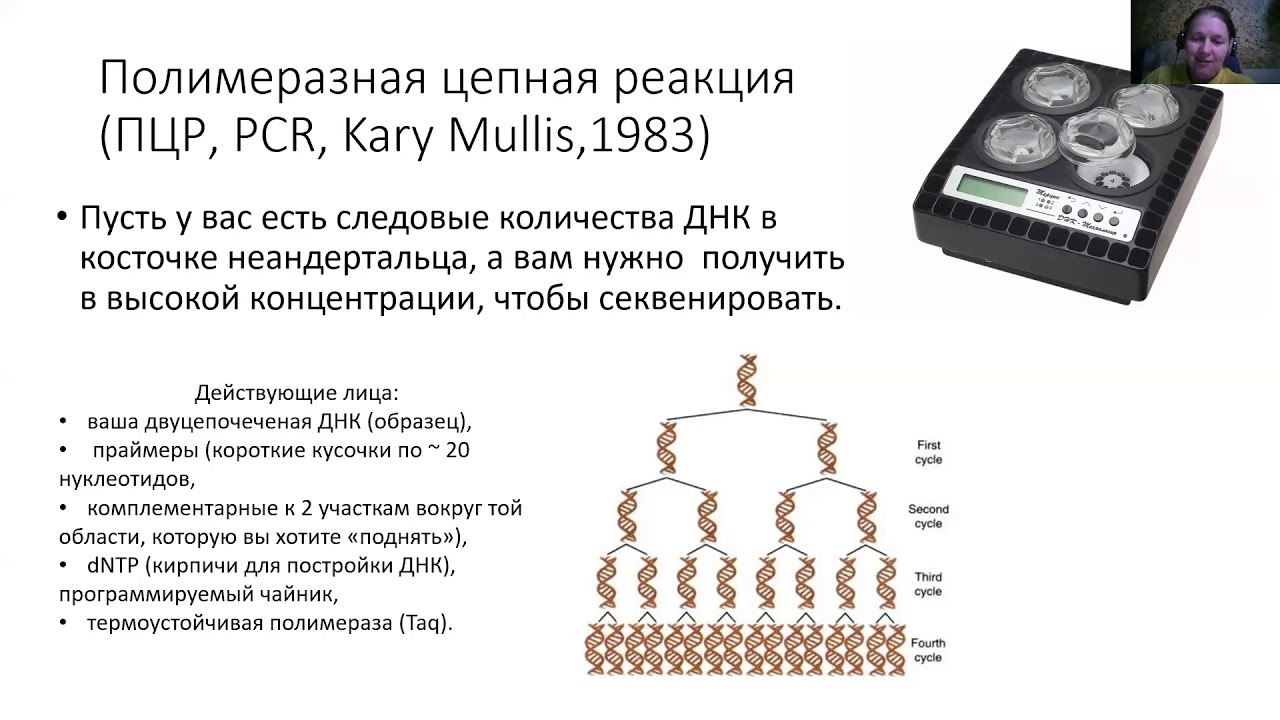 Набор генетики. Базовый генетический набор. Набор генной инженерии.