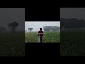 Gehra Hua 🎶🎶| #cinematic #shorts | @nsbpictures @zarmatics